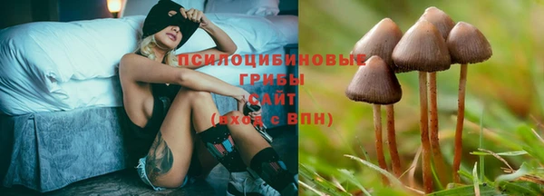 каннабис Богородск