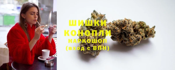 амф Бронницы
