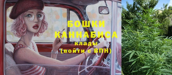 спиды Бородино
