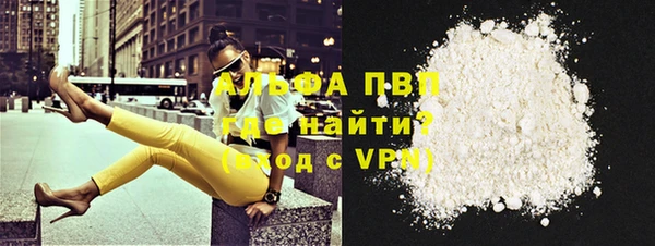 спиды Бородино