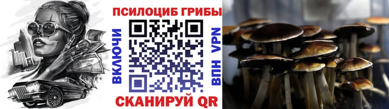 Псилоцибиновые грибы Psilocybe  как найти закладки  Горнозаводск 